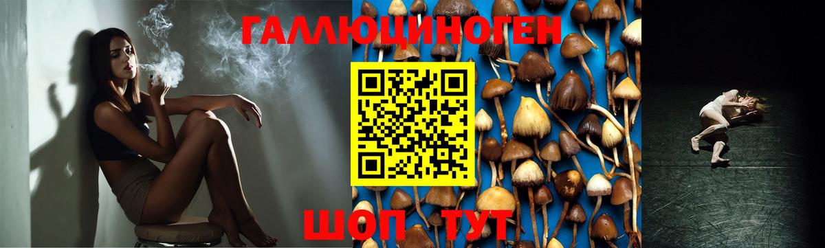 Псилоцибиновые грибы мицелий Муравленко